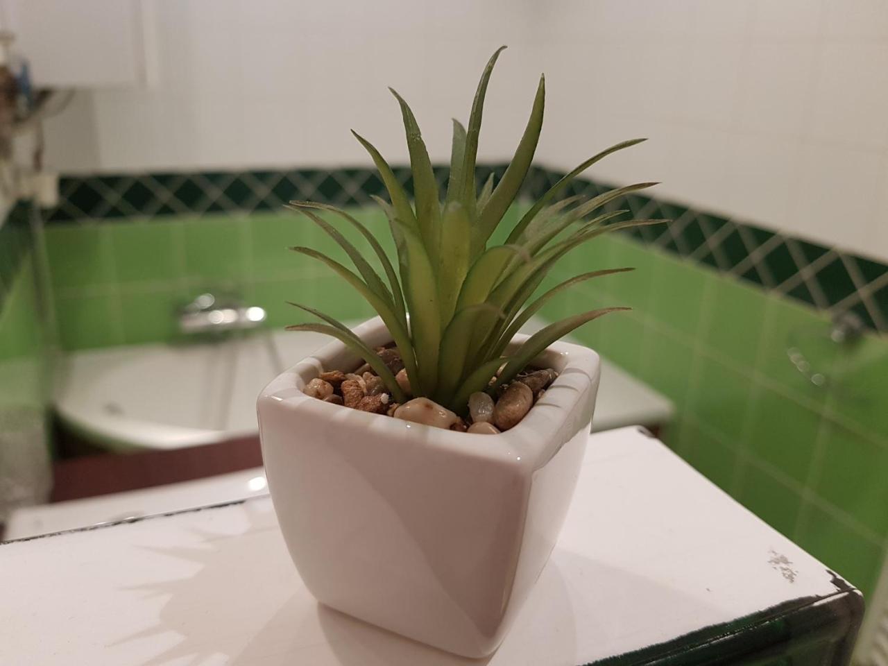Deák Apartman Sopron Bagian luar foto